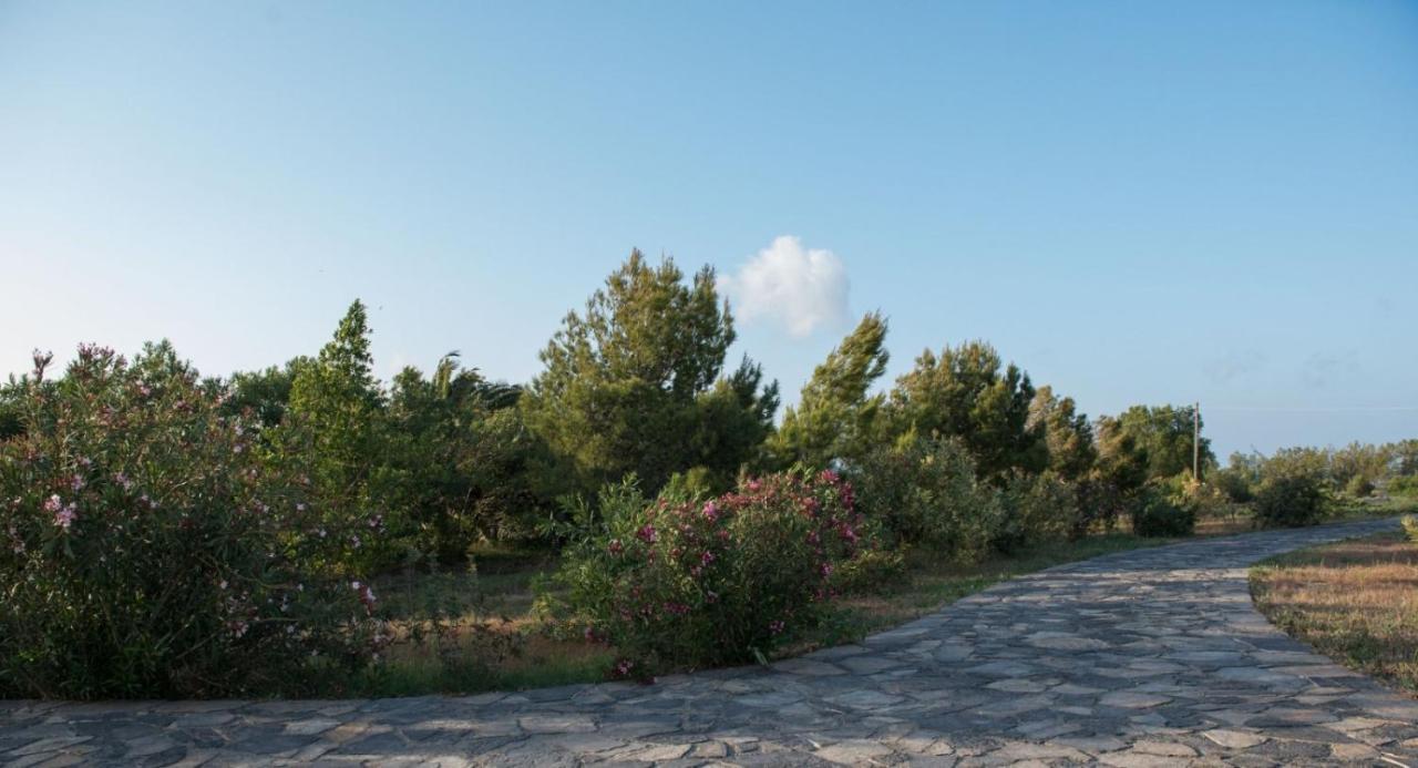 Kouremenos Beach House West Sitia  Exterior photo